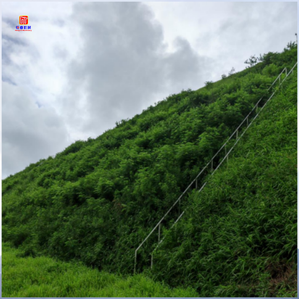 噴播機(jī)：讓荒蕪之地?zé)òl(fā)生機(jī)的綠化利器