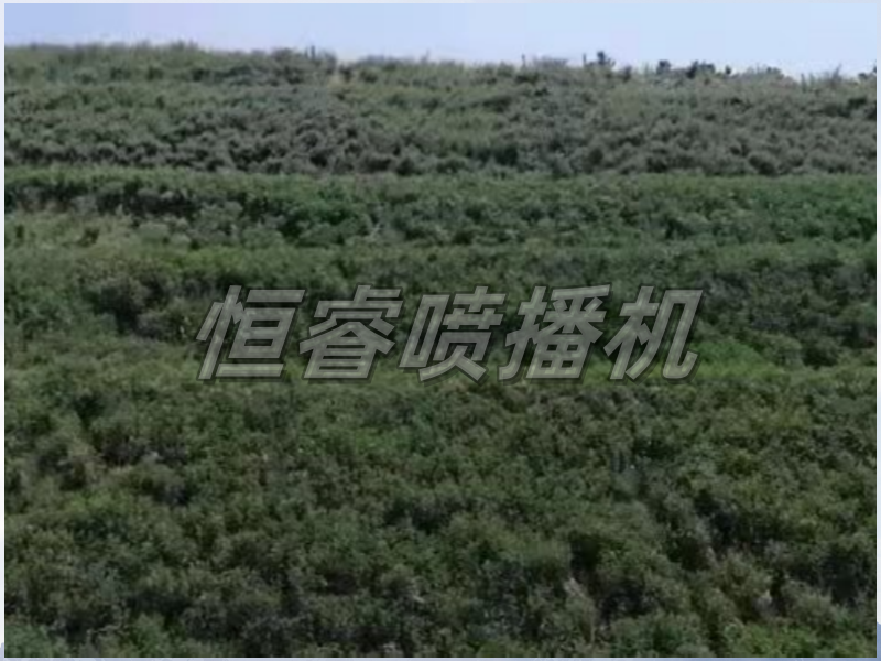 753697f8eeb01bebc14d37304d020c9_副本