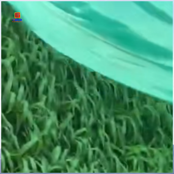 噴播機：多領域植被建植與生態修復的實用工具